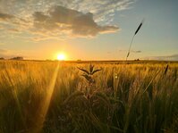 IMG_20250523_211943.jpg IMG_20250523_211943.jpg