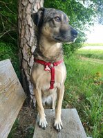 IMG_20250524_004811.jpg IMG_20250524_004811.jpg