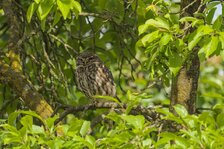 20250525_5390.jpg 20250525_5390.jpg