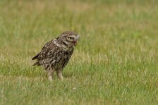 20250525_5414.jpg 20250525_5414.jpg