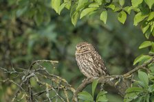 20250525_5439.jpg 20250525_5439.jpg