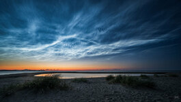 190621_001_Matt Rimkus.jpg