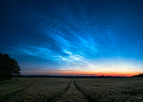 190618_001_Matt Rimkus-2.jpg