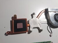 IMG_20250709_082114.jpg IMG_20250709_082114.jpg