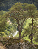 IMG_6027_01_skaliert.jpg IMG_6027_01_skaliert.jpg