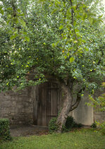 IMG_6170_01_skaliert.jpg IMG_6170_01_skaliert.jpg