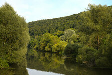 IMG_6177_01_skaliert.jpg IMG_6177_01_skaliert.jpg