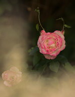 IMG_6205_01_skaliert.jpg IMG_6205_01_skaliert.jpg