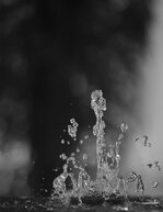 IMG_6199_01_SW_skaliert.jpg IMG_6199_01_SW_skaliert.jpg