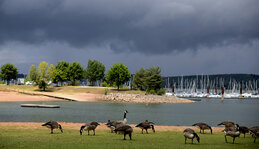 IMG_6356_01_skaliert.jpg IMG_6356_01_skaliert.jpg