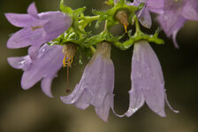 IMG_6400_01_skaliert.jpg IMG_6400_01_skaliert.jpg