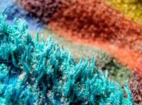 IMG_20250724_182316510~2.jpg IMG_20250724_182316510~2.jpg