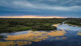 250831_004_Matt Rimkus.jpg