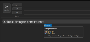 Einfügen ohne Format.PNG