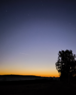 1759395662409.png 1759395662409.png