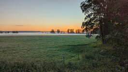 1000051300.jpg 1000051300.jpg