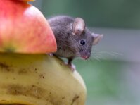 DSC01855_CSAjpg_kse.jpg DSC01855_CSAjpg_kse.jpg