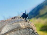 1759610856007#.jpg 1759610856007#.jpg