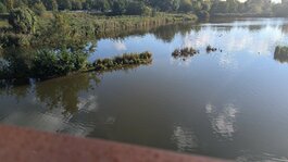 PXL_20251003_143137069.jpg PXL_20251003_143137069.jpg