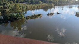 PXL_20251003_143140841.jpg PXL_20251003_143140841.jpg