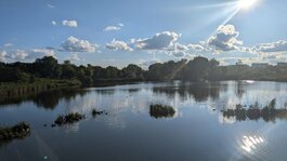 PXL_20251003_143156029.jpg PXL_20251003_143156029.jpg