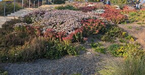 PXL_20251003_143707160_02.jpg PXL_20251003_143707160_02.jpg