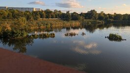 PXL_20251003_154401748.jpg PXL_20251003_154401748.jpg