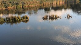 PXL_20251003_154407800.jpg PXL_20251003_154407800.jpg