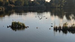 PXL_20251003_154413389.jpg PXL_20251003_154413389.jpg