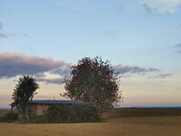 IMG_20251001_220200#.jpg IMG_20251001_220200#.jpg