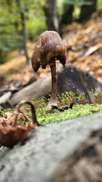 1760379835119.jpeg 1760379835119.jpeg