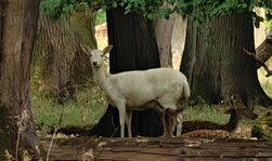 kayayanar.jpg kayayanar.jpg