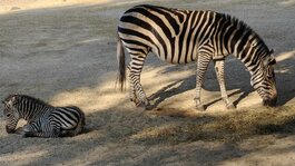 IMG20251002095253.jpg IMG20251002095253.jpg