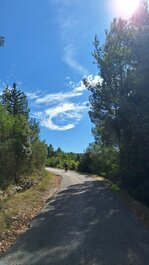 20250923_122627.jpg 20250923_122627.jpg