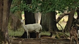 IMG20250914100956.jpg IMG20250914100956.jpg