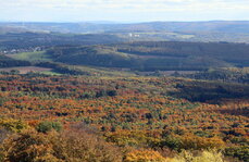 1760458070053.jpeg 1760458070053.jpeg