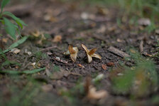 _MG_4426_01_skaliert.jpg _MG_4426_01_skaliert.jpg