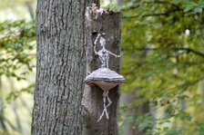 _DSC2127#.jpg _DSC2127#.jpg