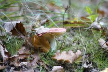 _DSC2136#.jpg _DSC2136#.jpg