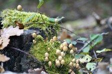 _DSC2138#.jpg _DSC2138#.jpg