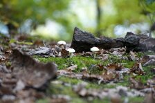 _DSC2152#.jpg _DSC2152#.jpg