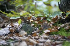 _DSC2153#.jpg _DSC2153#.jpg