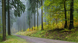 IMG_6555_01_skaliert.jpg IMG_6555_01_skaliert.jpg