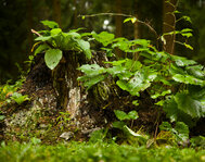 IMG_6568_01_skaliert.jpg IMG_6568_01_skaliert.jpg