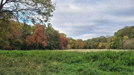 20251015_165605.jpg 20251015_165605.jpg