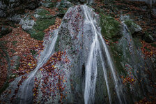 IMG_6623.jpg IMG_6623.jpg