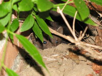 IMG_0029.JPG IMG_0029.JPG