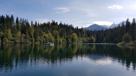 20170922_154138.jpg 20170922_154138.jpg