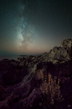 251013_Celestial Herb_001_Matt Rimkus.jpg 251013_Celestial Herb_001_Matt Rimkus.jpg