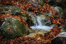 IMG_6599comp.jpg IMG_6599comp.jpg